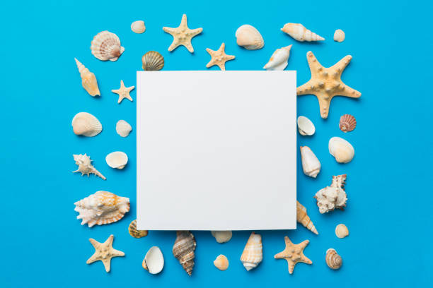 istock Summer time concept with blank greeting card and blank white paper on colored background. Seashells from ocean shore in the shape of frame separated with space for text top view 1403552601