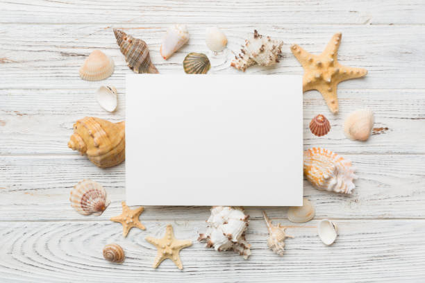 istock Summer time concept with blank greeting card and blank white paper on colored background. Seashells from ocean shore in the shape of frame separated with space for text top view 1403552603