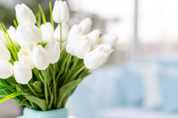 istock White tulip flowers in vase standing coffee table with blurred interior background. 1403555765