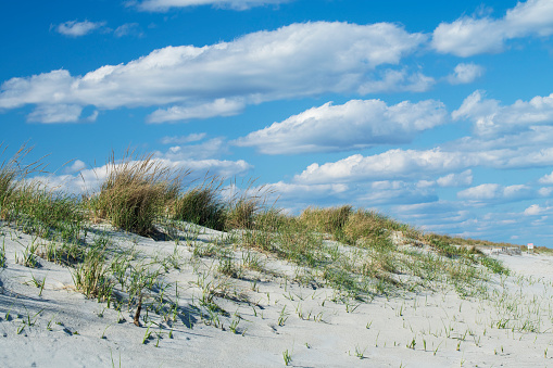 Sand dunes, Stone Harbor, New Jersey, USA