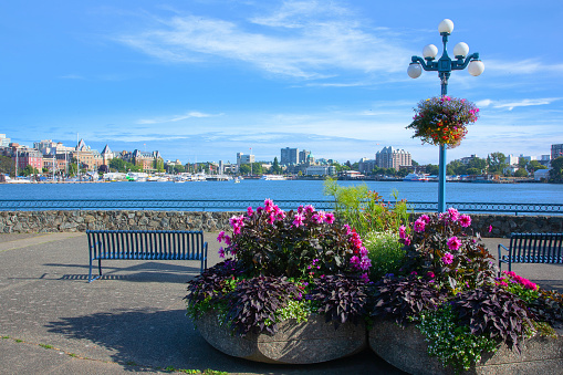 A nice and quiet place to sit, and take in the beautiful view of Victoria harbor, in British Columbia, Canada.