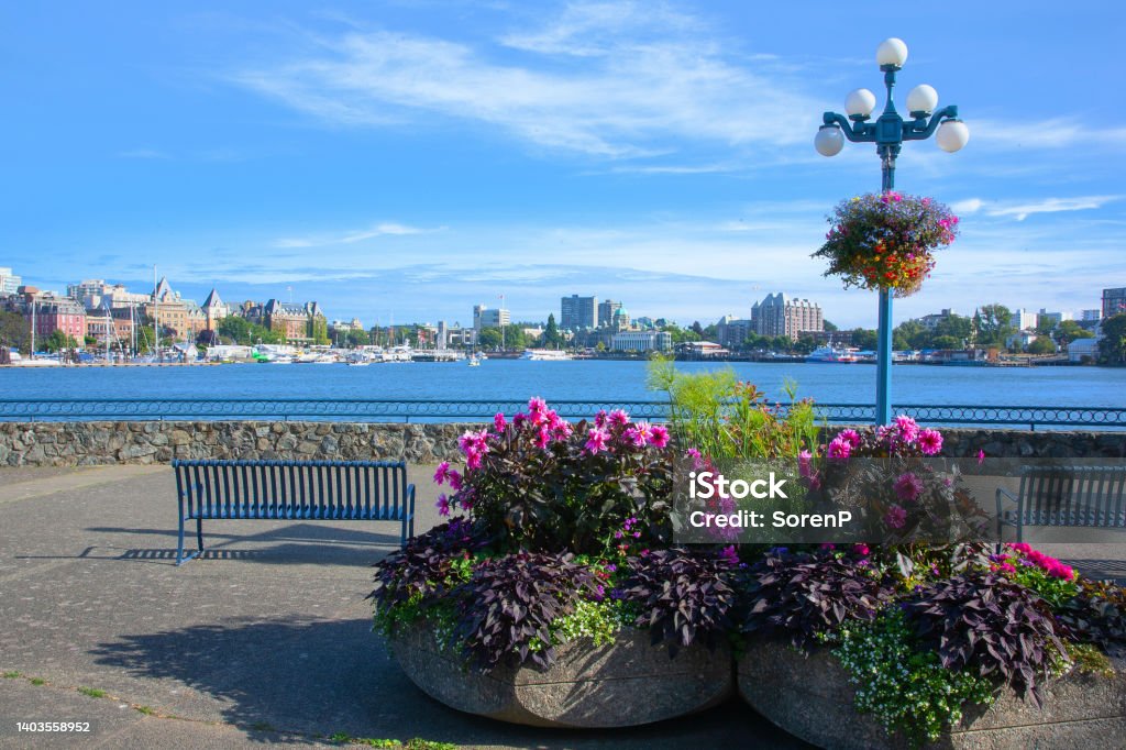 Victoria Harbor A nice and quiet place to sit, and take in the beautiful view of Victoria harbor, in British Columbia, Canada. Architecture Stock Photo