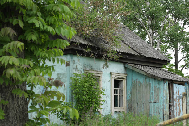 istock An old abandoned rural house with broken windows, overgrown with grass. 1403562242