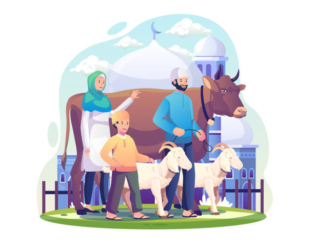 A Muslim family celebrates Eid al Adha with a cow and some goats as sacrificial animals. Vector illustration in flat style A Muslim family celebrates Eid al Adha with a cow and some goats as sacrificial animals. Vector illustration in flat style hajj stock illustrations