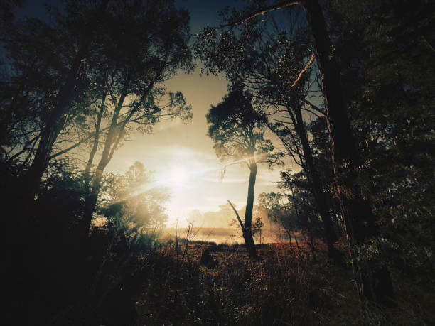Horizontal landscape photo of the early morning sun lighting up a frosty Winter rural landscape in the New England high country near Armidale, northern NSW. No