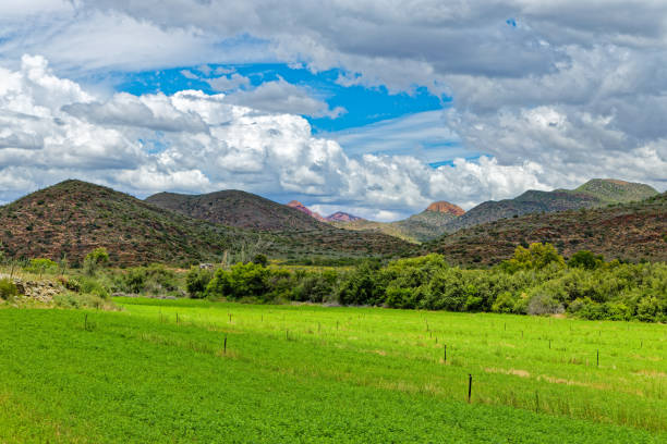 istock Fertile field with arid hills in Little Karoo 1403571510