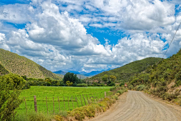 Landscape of fertile field and dirt road with Swartberg mountains in background and partly cloudy sky in Little Karoo in Western Cape, South Africa