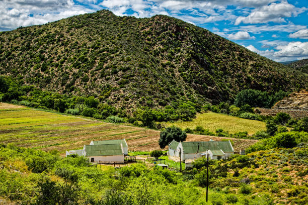 Trip by car through the picturesque landscapes of Kwazulu Natal to get to the Drakensberg National Park