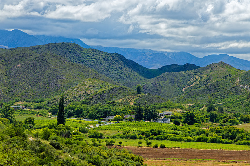 Prosperous farm with orchards in deep valley in foothills of the Swartberg Mountains in the Little Karoo near Oudtshoorn in Western Cape, South Africa