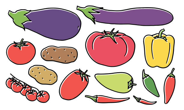 ilustrações, clipart, desenhos animados e ícones de conjunto de produtos noturnos desenhados à mão - heirloom tomato illustrations