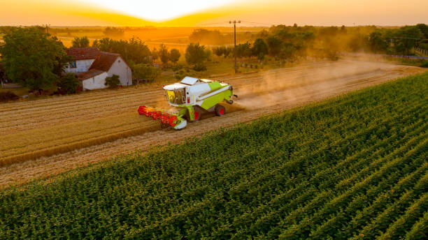 istock Above view on combine, harvester machine, harvest ripe cereal at sunset 1403580753