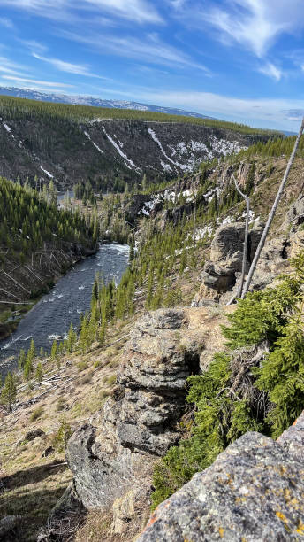 istock Yellowstone National Park June 2022 1403587686