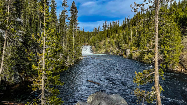 istock Yellowstone National Park June 2022 1403589690