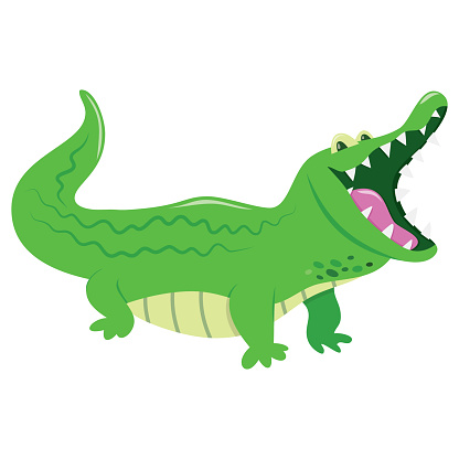 A cartoon vector illustration of a cute green crocodile with mouth wide open.