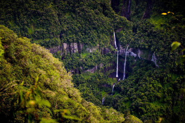 Takamaka Valley and waterfall at Reunion Island
