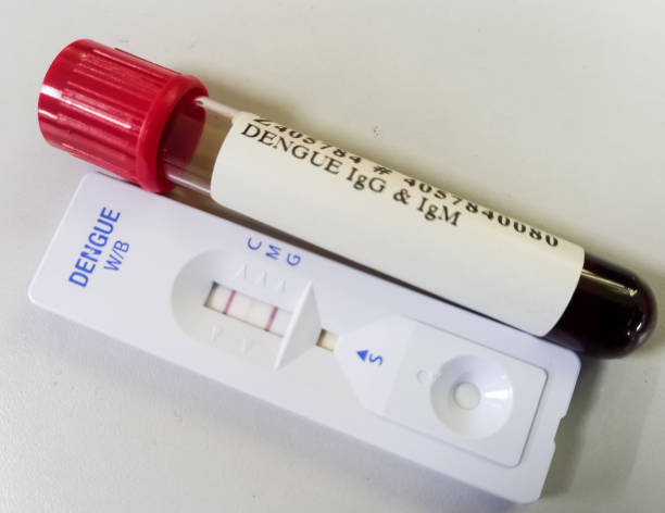 istock Close view of blood samples and rapid test device for dengue virus antibodies test. 1403596914