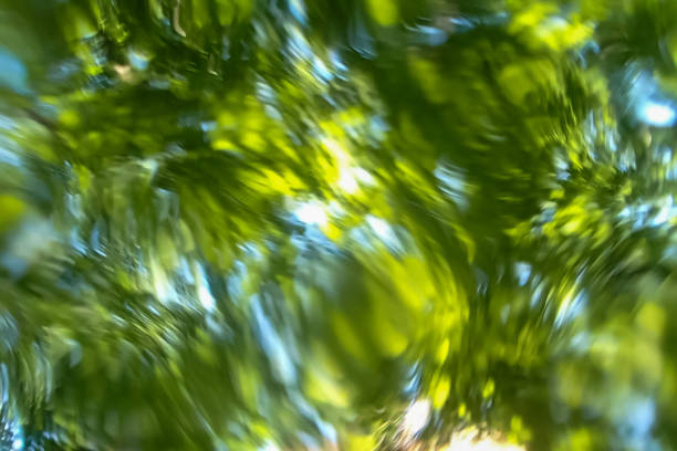 astratto verde vorticoso cime degli alberi natura sfondo - intossicazione da sostanze foto e immagini stock