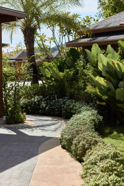 istock Beautiful path on the territory of a tropical resort 1403599346
