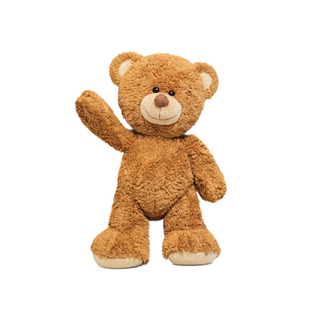 Cute teddy Cute teddy bear isolated on white background. stock photo