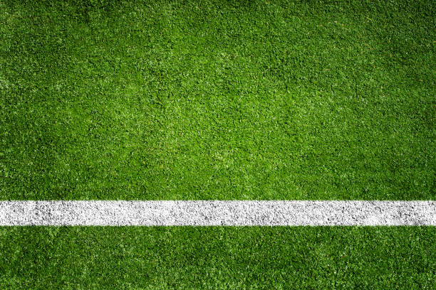 White stripe grass soccer green field background