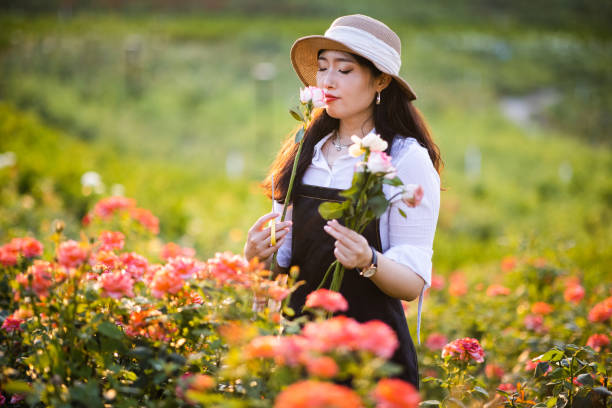Woman pruning roses in  garden