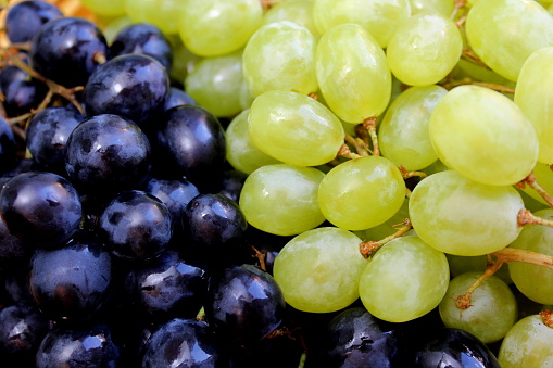 Top view of two bowls side by side with big green and purple grapes