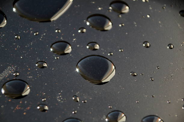 istock Drops of vegetable oil lie on a smooth, even black surface. 1403605305