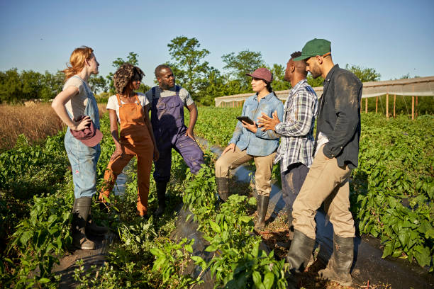 istock Organic farm workers meeting and talking in herb garden 1403606814