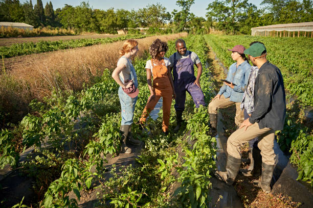 istock Farm workers meeting outdoors in herb garden 1403606821