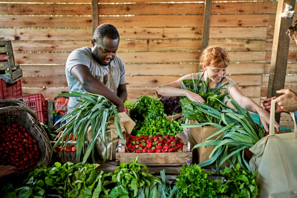 istock Farm workers selling fresh produce direct to community 1403606829