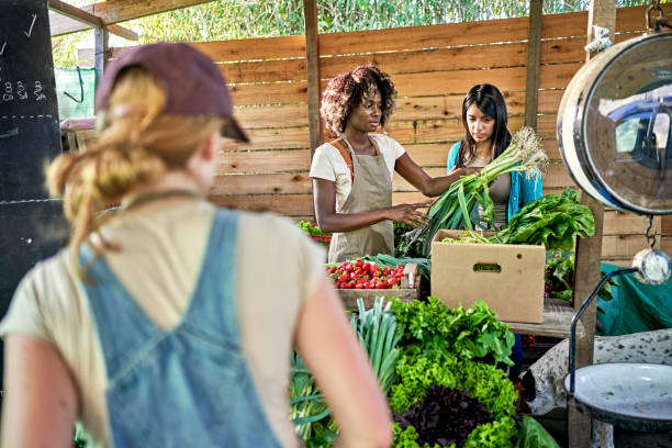 istock Farmers preparing fruit and vegetables for sale 1403606835
