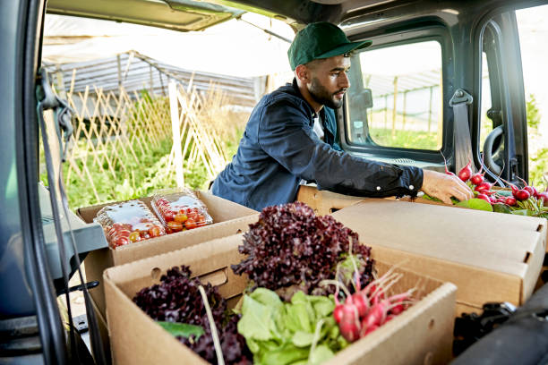 istock Man loading boxes of fresh vegetables into back of van 1403606839