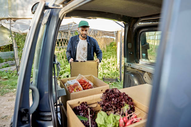 istock Farm worker loading vehicle with boxes of produce 1403606846