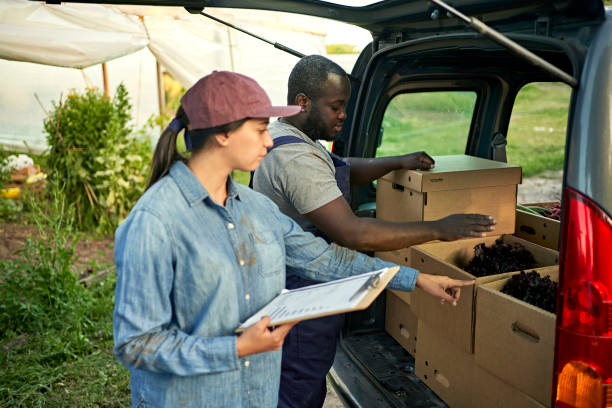 istock Foreperson tracking organic vegetable deliveries 1403606859