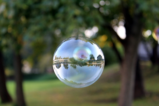 Soap bubble on the background of a green lawn.