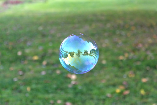 Soap bubble on the background of a green lawn.