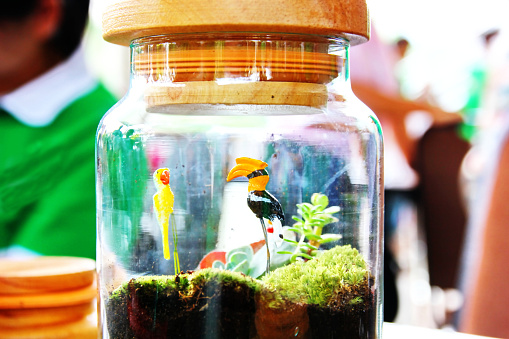 beauty terrarium decoration by little acessory in small bottle