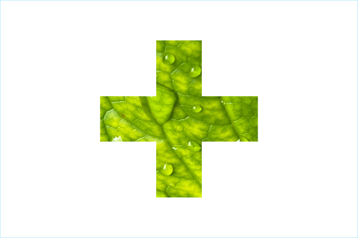 Natural medicine pharmacy icon symbol