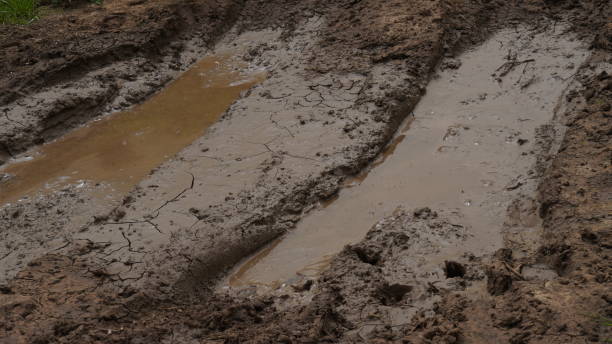 muddy field with tire tracks and puddles. dirty road with mud  truck wheel tracks after rain. off-road. - mud road tire track footpath imagens e fotografias de stock