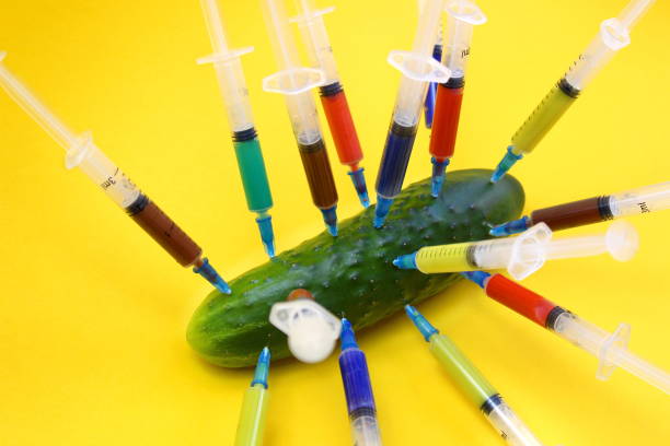 de nombreuses seringues contenant des médicaments brillants sont coincées dans le concombre. - food crop sprayer insecticide dna photos et images de collection