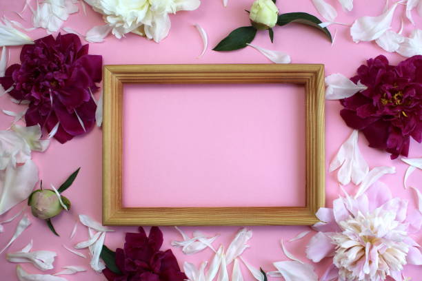 istock Wooden frame with peony petals lie on a pink background. 1403622530