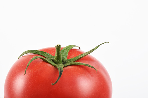 Front view fresh tomato on the white background with copy space