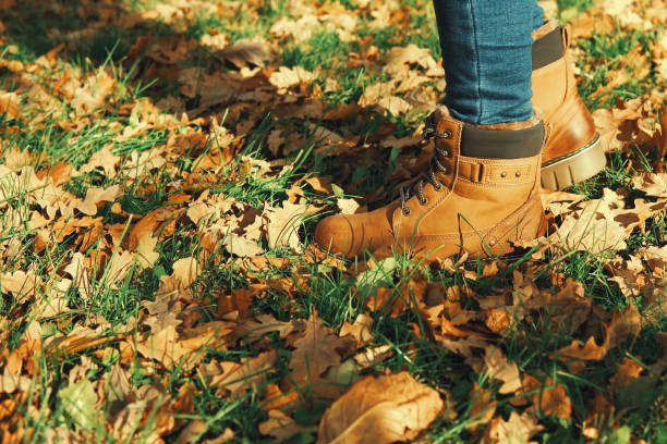 istock Human wearing brown leather boot and walking in fallen oak leaves. 1403626178