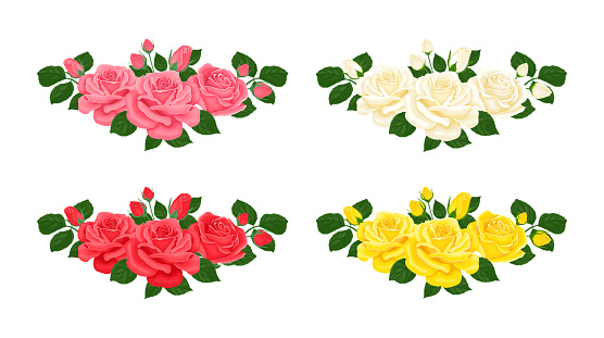 Set of bouquets of roses in different colors. Vector cartoon horizontal flower arrangements. Floral design elements.