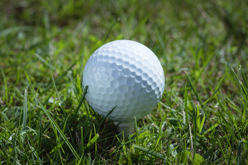 Golf ball at grass, close-up, selective focus, no people