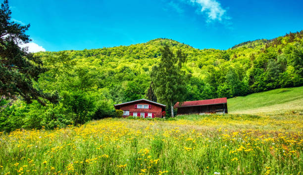 istock Beautiful Lungern , Switzerland  pictures 1403629474