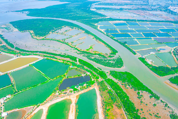 istock Aerial view fish ponds in Hong Kong border 1403630507