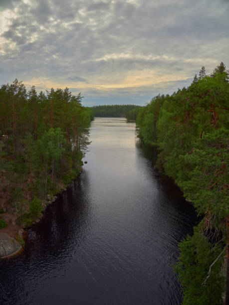 istock Repovesi National Park. 1403633437