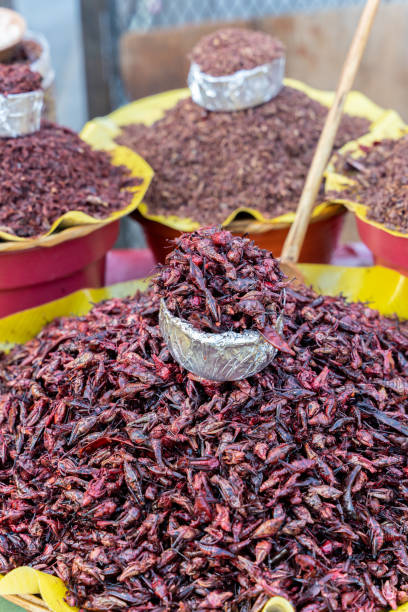 istock Fresh fried and salted grasshoppers from Oaxaca (translation: chapulines) displayed on a table 1403634784