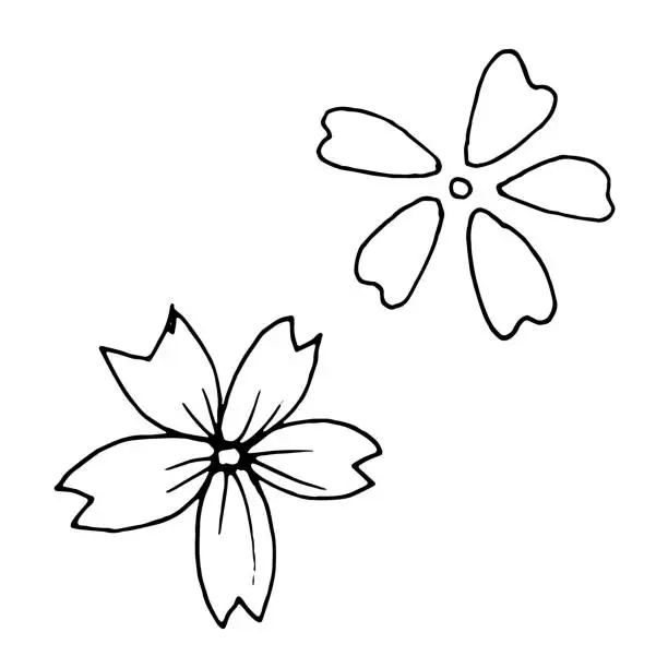 Vector illustration of Illustration of flowers. Sketch of a Japanese cherry tree. Hand-drawn Japanese plum line